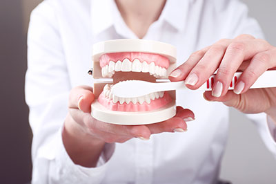 The image shows a person s hand holding a model of a human mouth with teeth, positioned in front of a real human mouth, which is also open to reveal teeth.